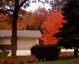 Fall in Michigan